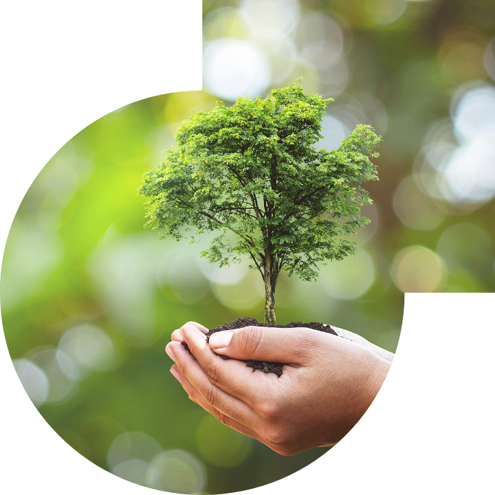 关怀人类、文化、环境与社会